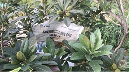 磷酸二氢钾这3个时期用，效果翻倍