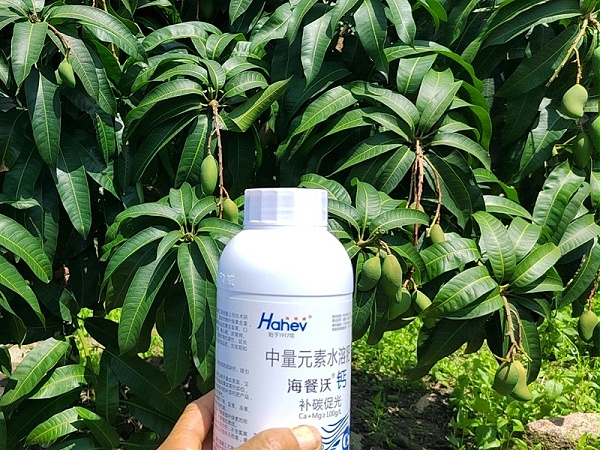 DW{MSOYBG@LPOF)LQSFDC~C