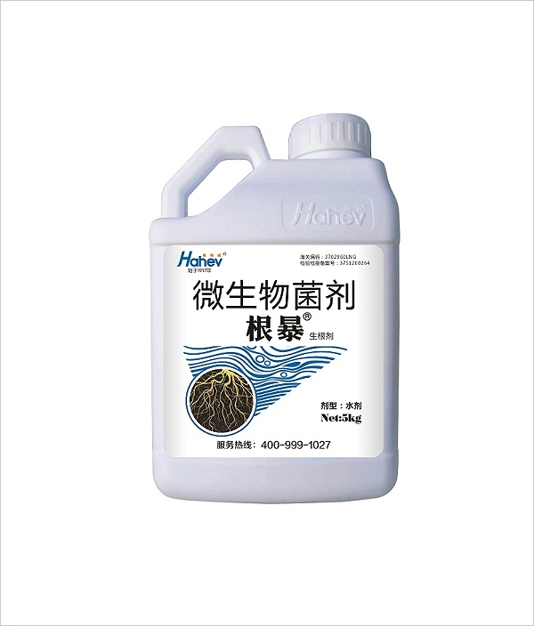 黄瓜施肥-根暴生根剂