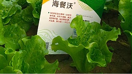 蔬菜种植重茬减产，如何施肥恢复地力？